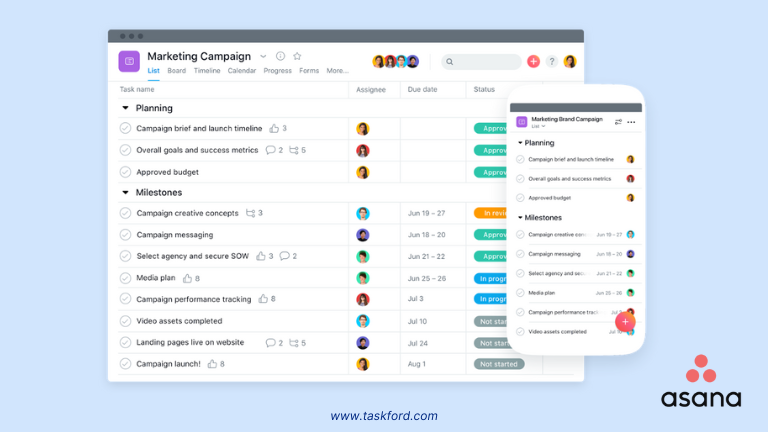 Asana Task Views - asana task management