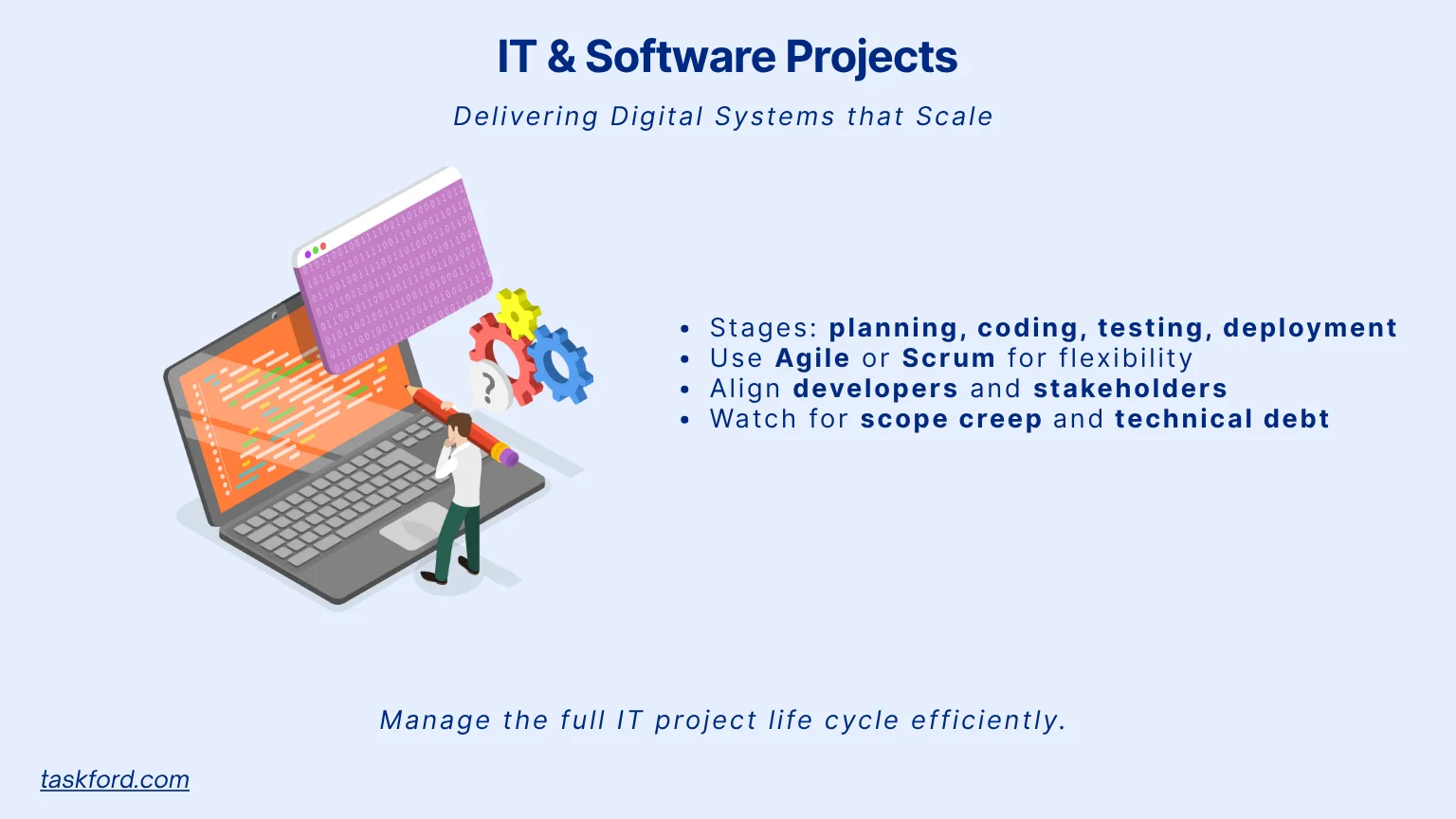 IT and Software Projects